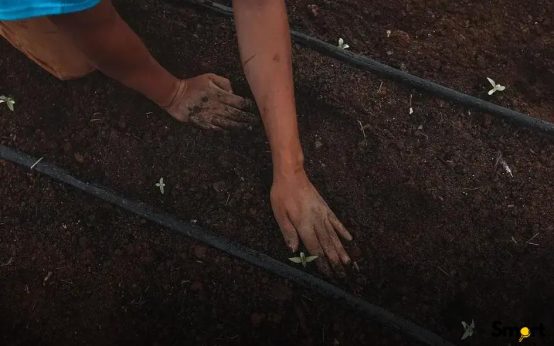 The Gender Pay Gap Explained: Uncover the Stark Realities